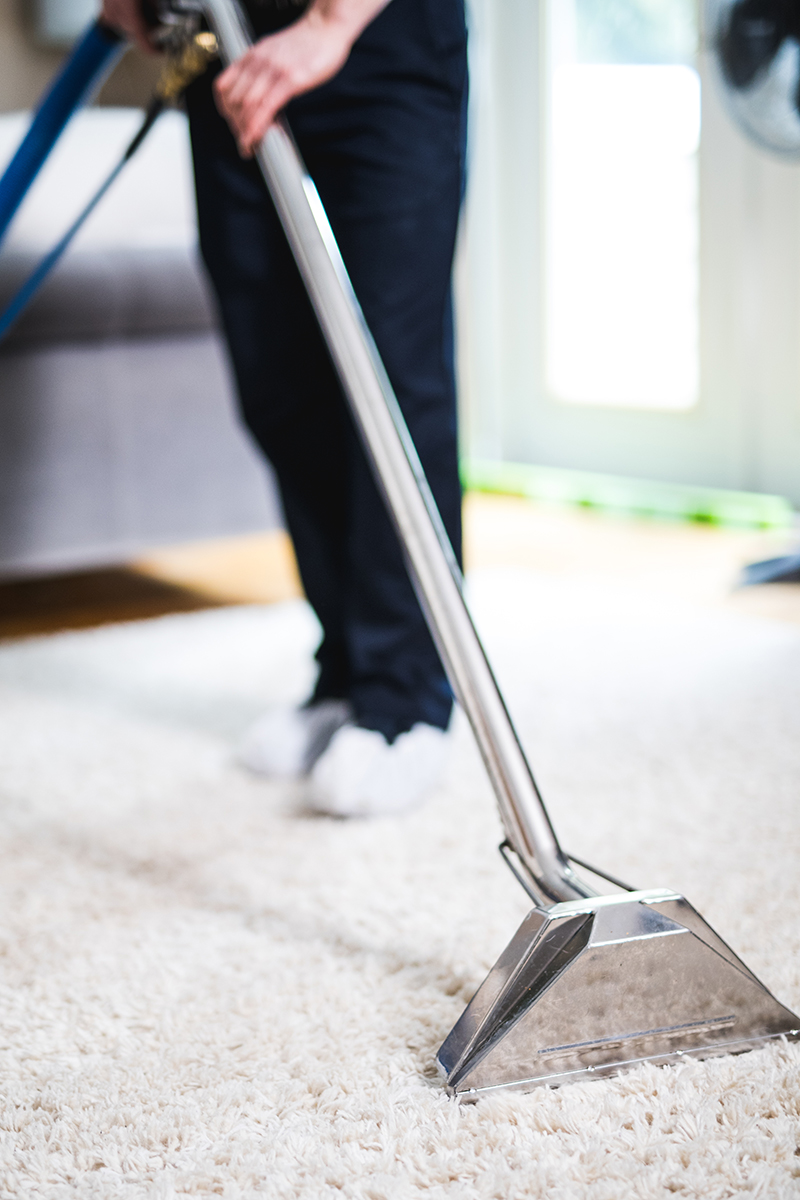 carpet cleaning montreal guy on the job